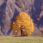 Giornata Nazionale del Paesaggio - Soprintendenze aperte