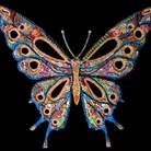 Silvia Logi. Rinascita della materia