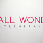 Small Wonders 2014