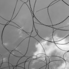 Anna Svelto. Palestina: un carcere a cielo aperto?