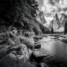 Le violette sono dalla mia parte