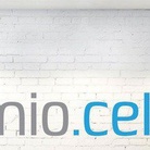 Premio Celeste 2013. X Edizione