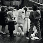 Elliott Erwitt. Icons