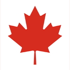 Abbas Akhavan: Entre chien et loup - Biennale Arte Venezia 2026