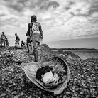 João Coelho. Riding the turtles