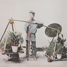 Linda Fregni Nagler, Untitled (Cycas), 2018, Hand Colored Gelatin Silver Print, 154.4 x 118.4 cm, Con cornice 159.6 x 123.6 cm