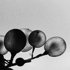 © Lorenzo Cicconi Massi / Le Colture