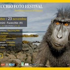 Fofu Phot'Art 2014