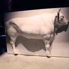 Mattia Bosco, Bue Tractor, Prestito della Fondazione Henraux