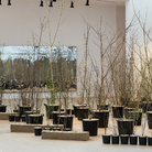 Foresta M9. Un paesaggio di idee, comunità e futuro