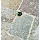 Antonio Foscari. Le Rive. Il Verde. Le Ombre