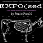 Expo(sed)