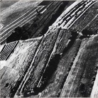 Mario Giacomelli, Presa di coscienza sulla natura, 385x280 mm | Courtesy of Studio Guastalla Arte Moderna e Contemporanea / The Lone T art space | Foto: Cristian Castelnuovo