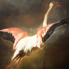 Pieter Boel (1622 - 1674), Fenicottero, Olio su tela, 78 x 122 cm, Collezione privata