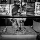 Photofestival 2020: le mostre a Palazzo Castiglioni
