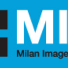 MIA Fair 2013