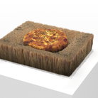 When Apricots Blossom