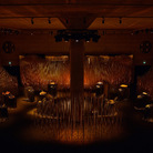 When Apricots Blossom