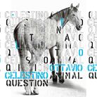 Ottavio Celestino. Animal question