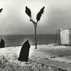 Mario Giacomelli Fotografo Artista Poeta