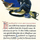 Litterae. Ovvero la bella scrittura