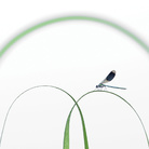 Misja Smits, Join Me | 