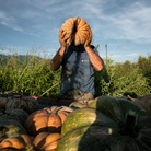 AGROSFERA. Storie di tradizione e innovazione