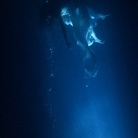 Bill Viola, Isolde’s Ascension, TheShapeofLightintheSpaceAfterDeath 2005 Performer Sarah Steben 10.30 minuti Edition of twelve with one artist’s proof Foto Kira Perov 