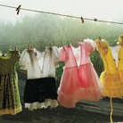 Amy Toensing, Quale colore? Vento di protesta a Portorico, marzo 2003. Utuado, Portorico