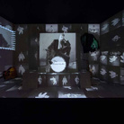 Installation Shot of 