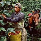 Steve McCurry, Colombia