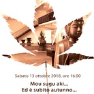 Mou sugu aki... Ed è subito autunno...L’autunno giapponese in musica