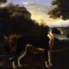 Michelangelo Pace da Campidoglio (1610 - 1670), Ritratto di levriero, Olio su tela, 251 x 174 cm, Milano, Collezione Koelliker