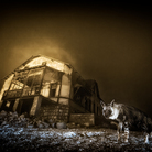 La natura va in scena al Museo della Permanente con gli scatti del Wildlife Photographer of the Year