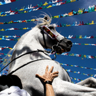 SIENA AWARDS PHOTO FESTIVAL 2026. XII edizione