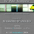 Massimo D'amato. Le pulci scomparse