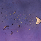 Luciana Cicogna. Opere 2012-2025