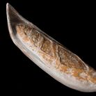 Sotto i Nostri Piedi il Cielo. Archeologie della trasformazione