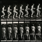 Eadweard Muybridge, A woman walking up stairs bearing a bowl, 1887, Wellcome Library di Londra | © Wellcome Images