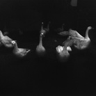 Ilaria Ferretti, Bestiario. Manuale di cucina, Oche/Geese | © MUST GALLERY, Lugano
