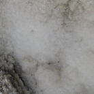 The Aural Sea | Biennale Venezia 2026