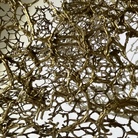 Wurus | Biennale Arte Venezia 2026