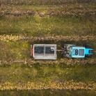 Aquileia a TourismA: quando il vino racconta duemila anni di storia