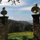 Tesori d’Arte e Narcisi sull’Appenino Tosco-Emiliano