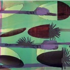 Maria Cristina Finucci. Dentro la metamorfosi