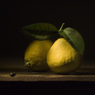 Mauro Davoli, Cedri con scarabeo, 2010, 90 x 60 cm | © Mauro Davoli