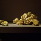 Mauro Davoli, Alkekengi, 2001, 90 x 60 cm | © Mauro Davoli