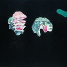 Max Ernst, Coquilles Fleurs, 1928, olio su tela