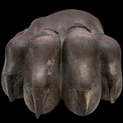 Frammento di un colossale capitello di colonna di tipo achemenide, Periodo achemenide (VI-IV sec. a.C.) presumibilmente prima metà del V sec. a.C., Persepoli (Fars, Apadana), Pietra calcarea nera, 73 x 53 x 36 cm | Photo © Gianluca Baronchelli