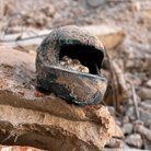 ANTIFRAGILE - Biennale Arte Venezia 2026